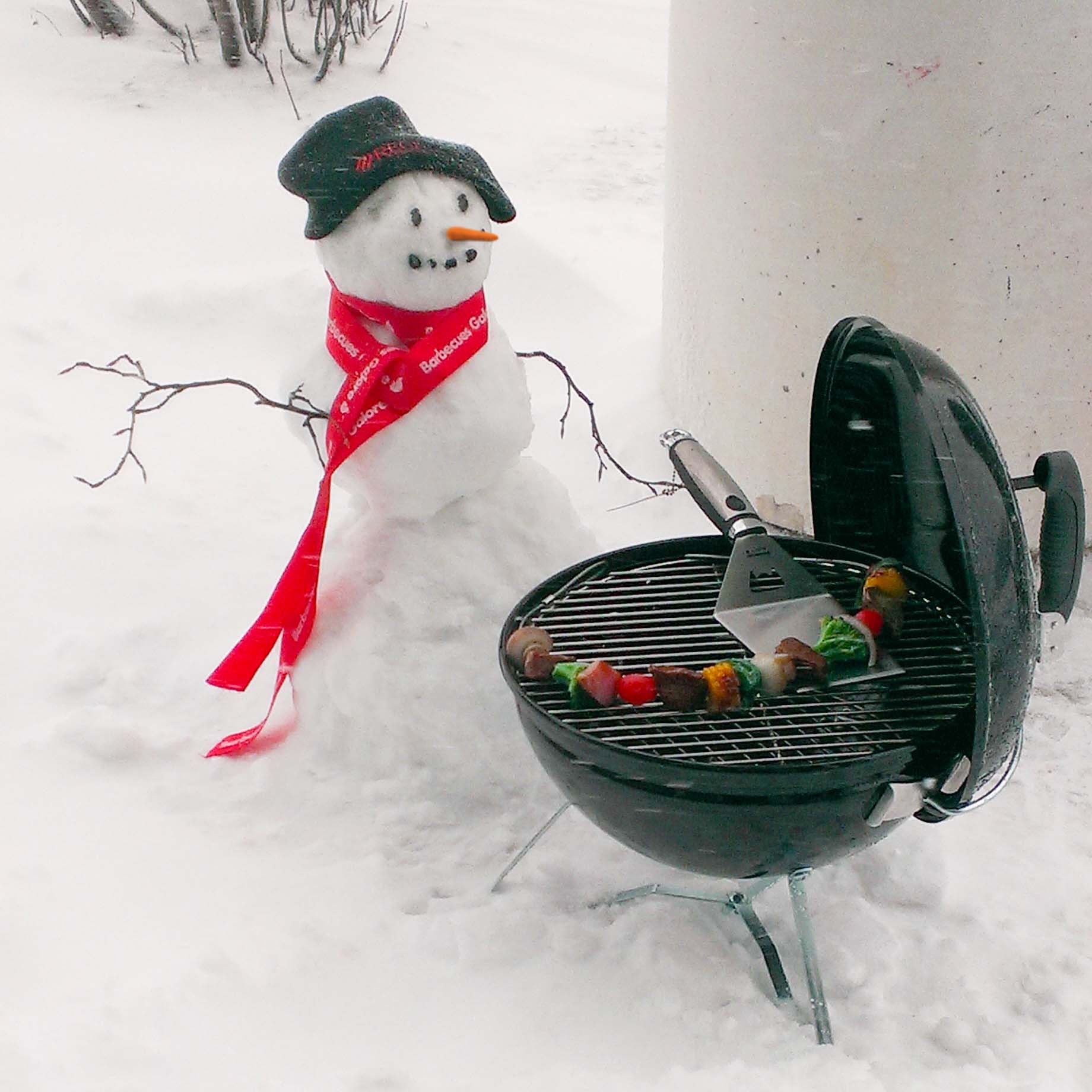 How To Store a BBQ Grill For Winter - Best Way To Store Barbecue