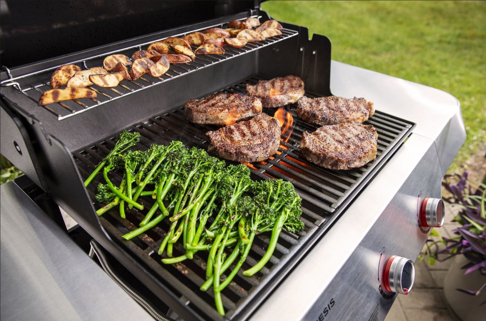 Weber canada outlet bbq