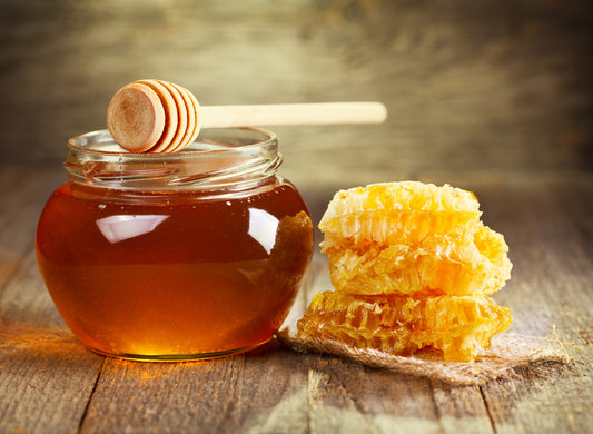Food For Thought | The Buzz on Honey