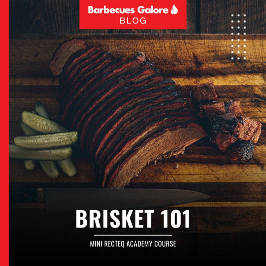Brisket 101: Mini Recteq Academy Course