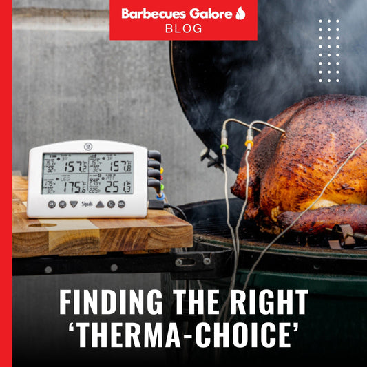 Finding the right Thermometer Choice