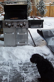 Winter grilling