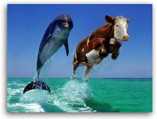 FOOD FOR THOUGHT | Surf & Turf