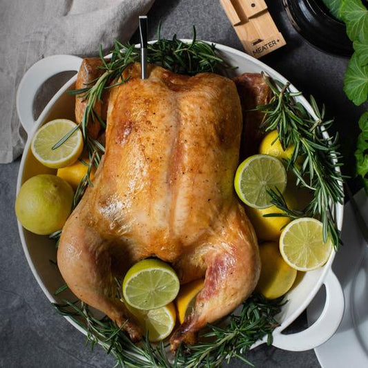 Best Thermometers for Cooking Turkey