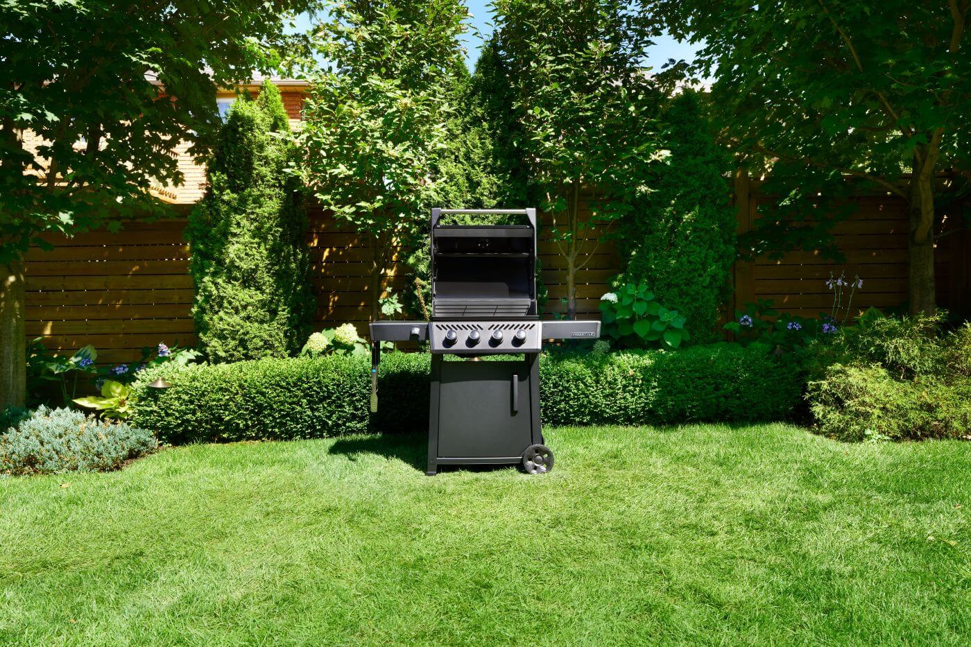 Napoleon Outdoor Cooking > Gas Grills > BBQs Napoleon Freestyle 425