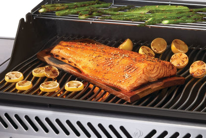 Napoleon Outdoor Cooking > Gas Grills > BBQs Napoleon Rogue® PRO 625 SIB