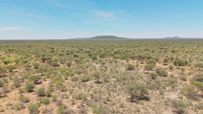 African Superior Lump Charcoal