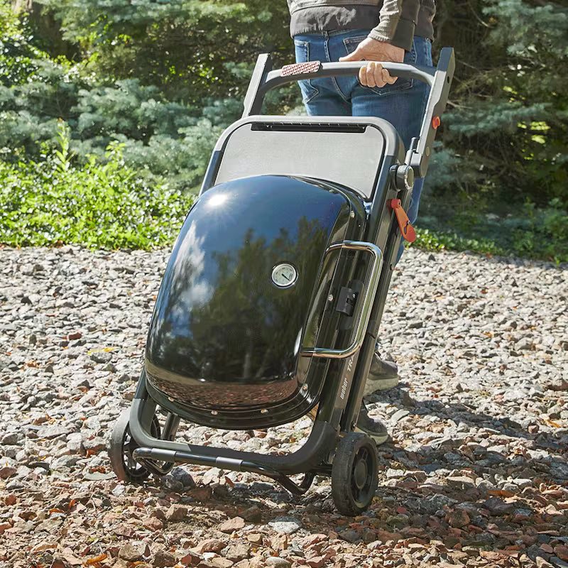 Weber Outdoor Cooking > Portable Grills Weber Traveler Portable Grill (Propane)