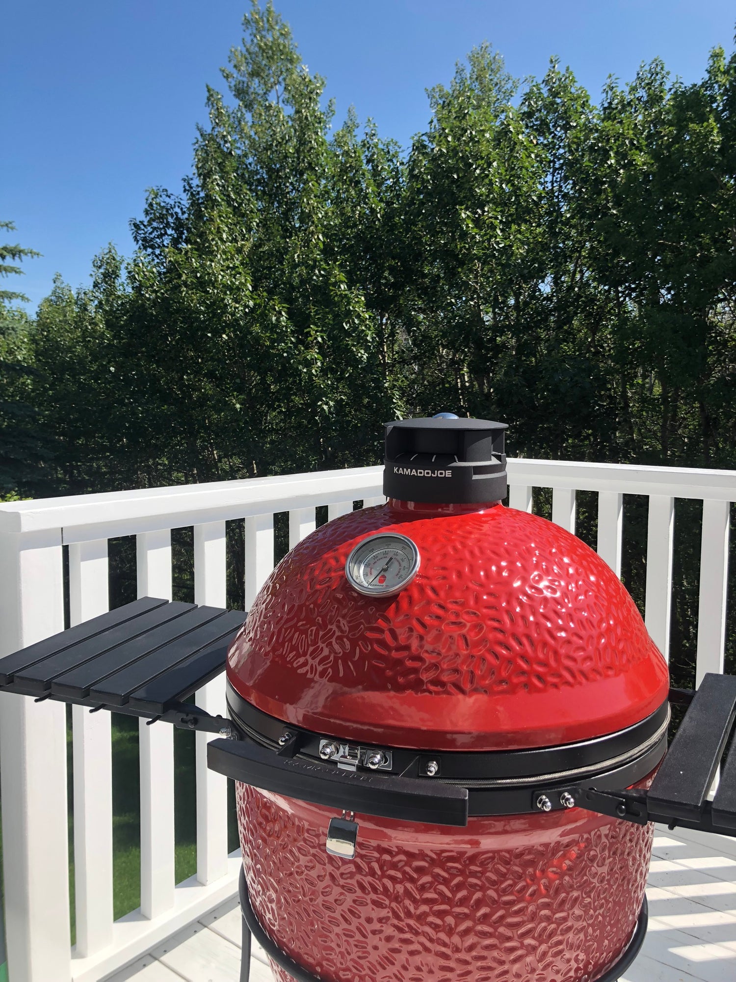 The Kamado Joe Big Joe III With Cart.  One of the largest ceramic kamado grills you'll find out there.  Outstanding quality and style, the Big Joe is your key to out of this world charcoal grilling.  Get yours this summer at Barbecues Galore: Burlington, Oakville, Etobicoke & Calgary