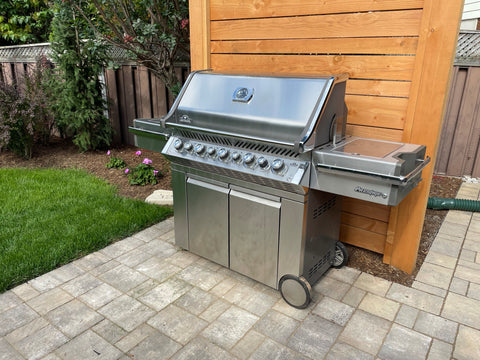 Napoleon Prestige PRO 665RSIB