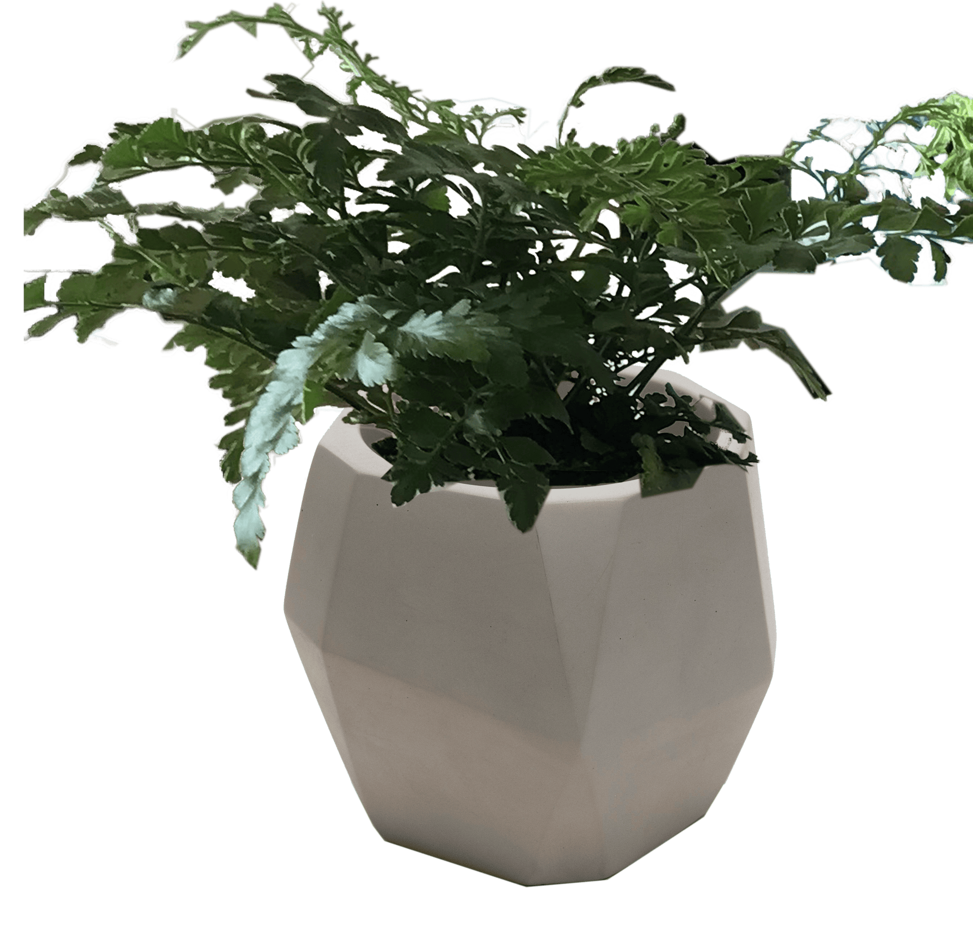Backyard Lifestyles Limited Outdoor Living > Patio Furniture Geometric Concrete Pot