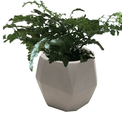 Backyard Lifestyles Limited Outdoor Living > Patio Furniture Geometric Concrete Pot