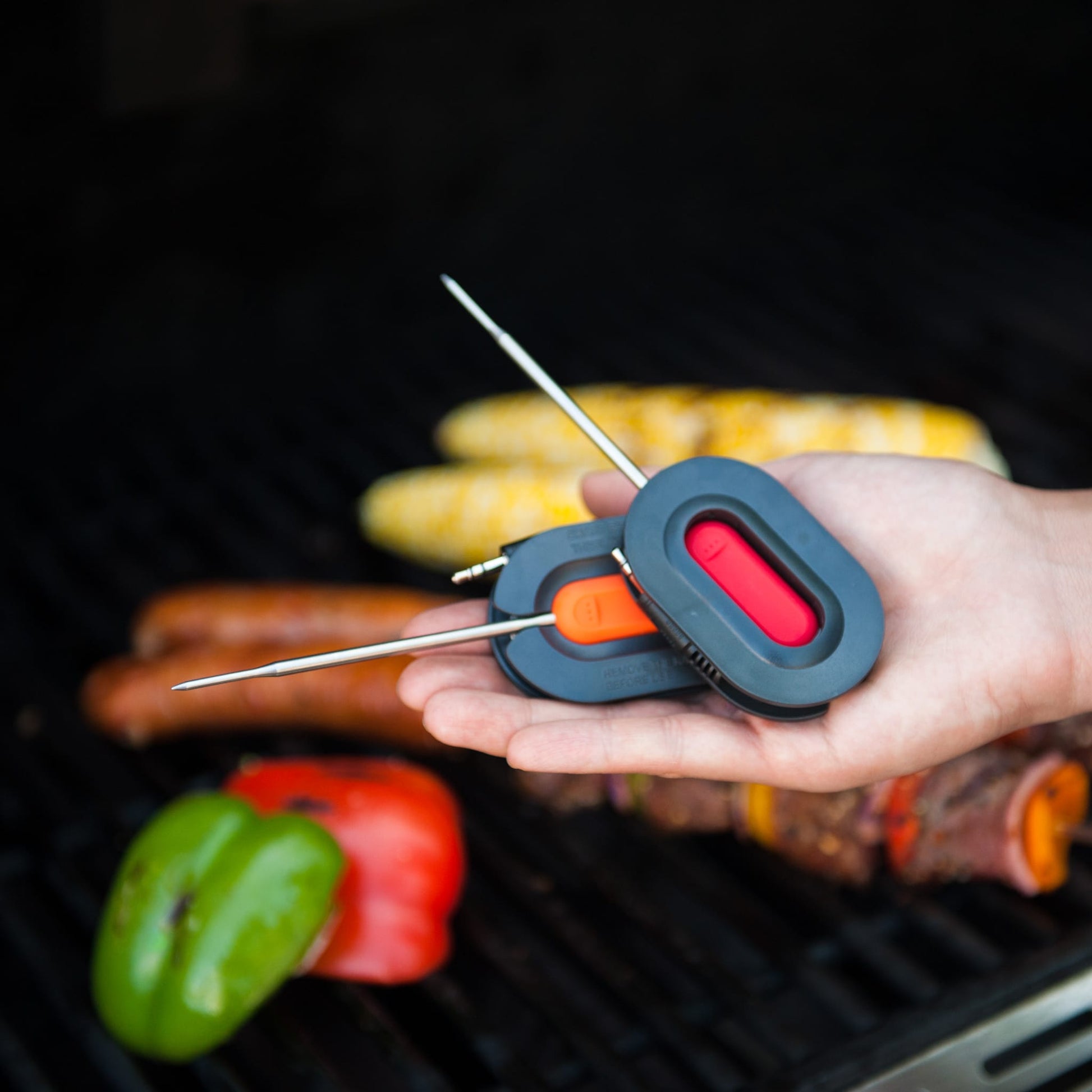 Brander Barbecue Accessories > Thermometers > Digital > Probes Brander "More Probes" For Bluetooth Thermometer