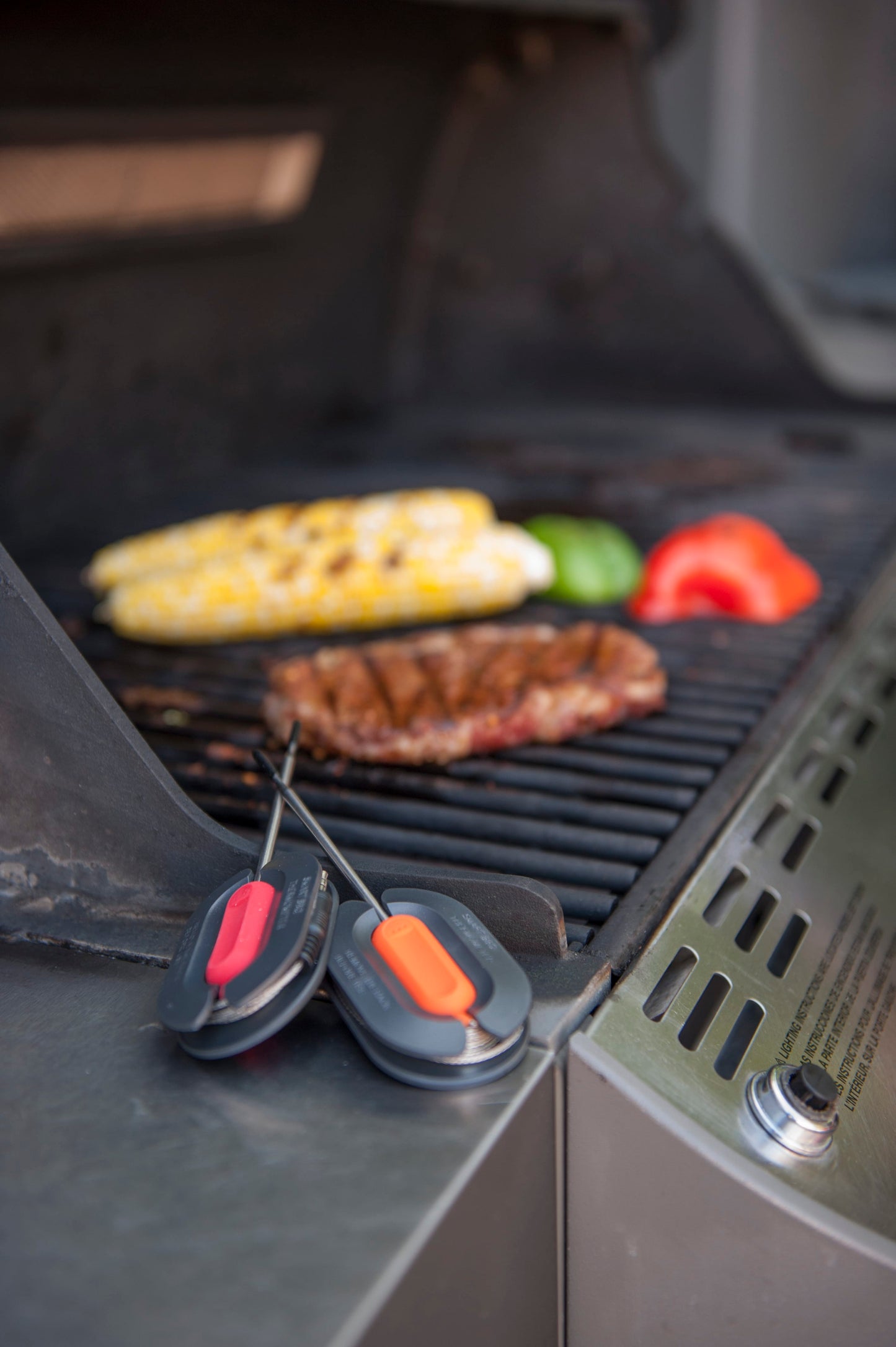 Brander Barbecue Accessories > Thermometers > Digital > Probes Brander "More Probes" For Bluetooth Thermometer