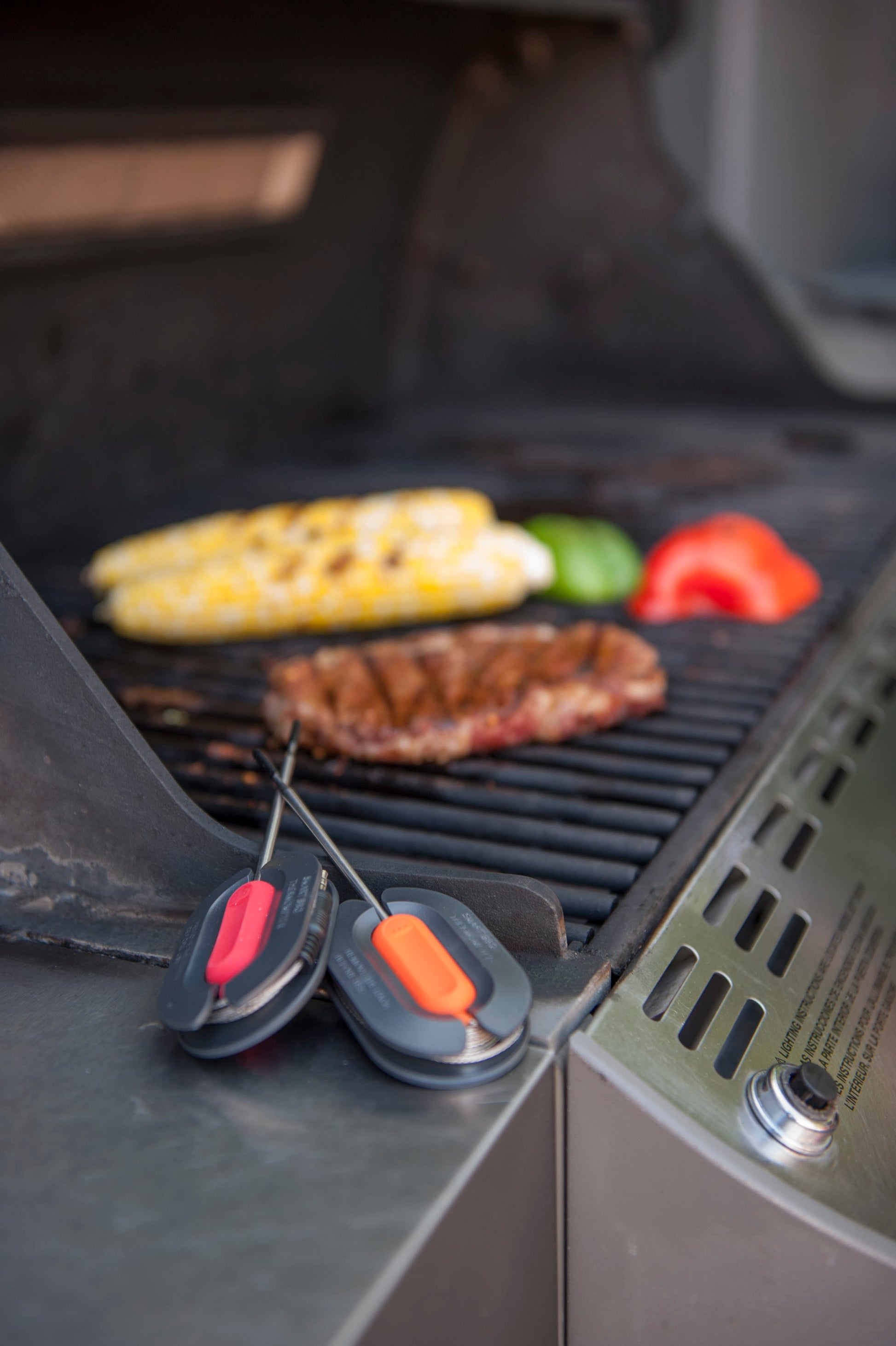 Brander Barbecue Accessories > Thermometers > Digital > Probes Brander "More Probes" For Bluetooth Thermometer