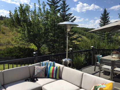 Brander Outdoor Living > Heating > Patio Heaters > Freestanding Brander Stainless Steel Patio Heater - Propane