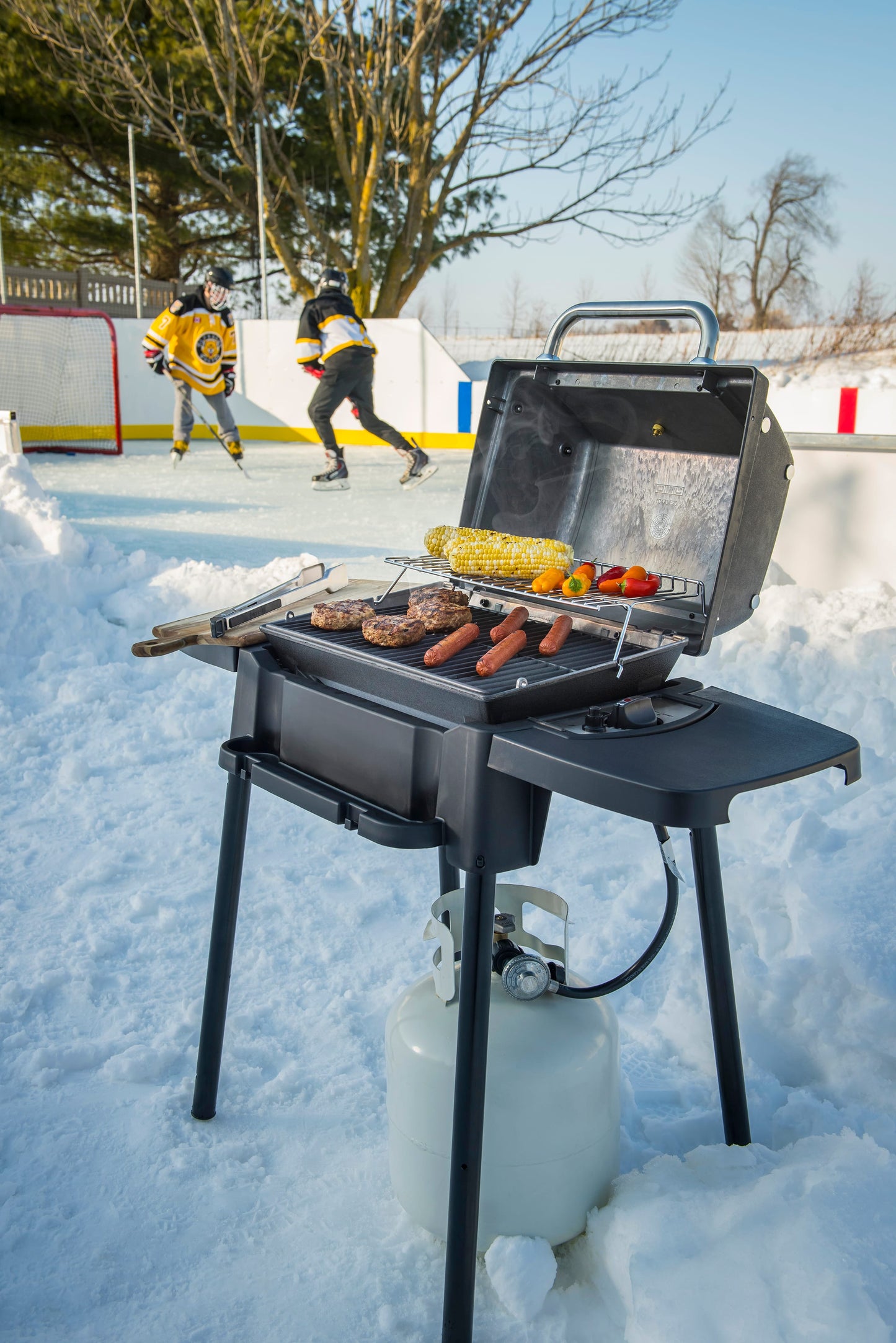 Broil King Outdoor Cooking > Portable Grills Broil King Porta-Chef 120 Portable Grill (Propane)