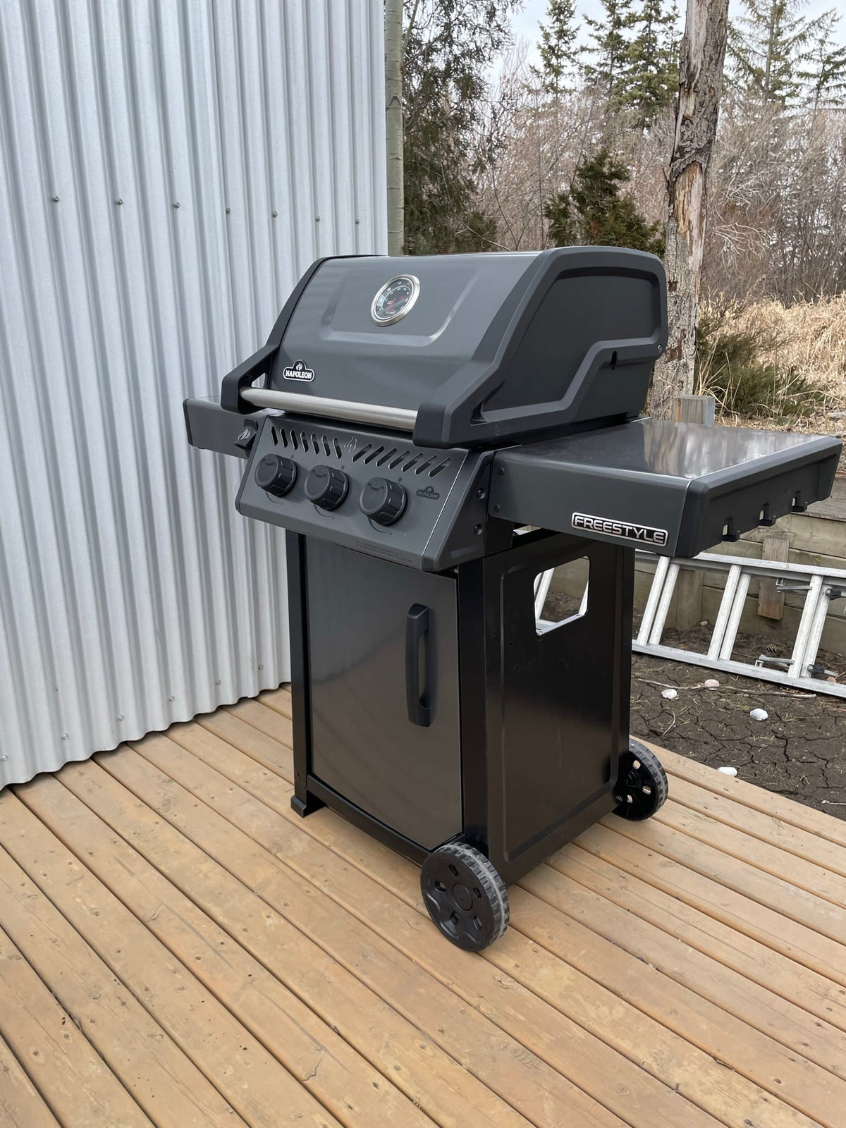Napoleon Outdoor Cooking > Gas Grills > BBQs Napoleon Freestyle 365
