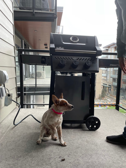 Napoleon Outdoor Cooking > Gas Grills > BBQs Napoleon Freestyle 365