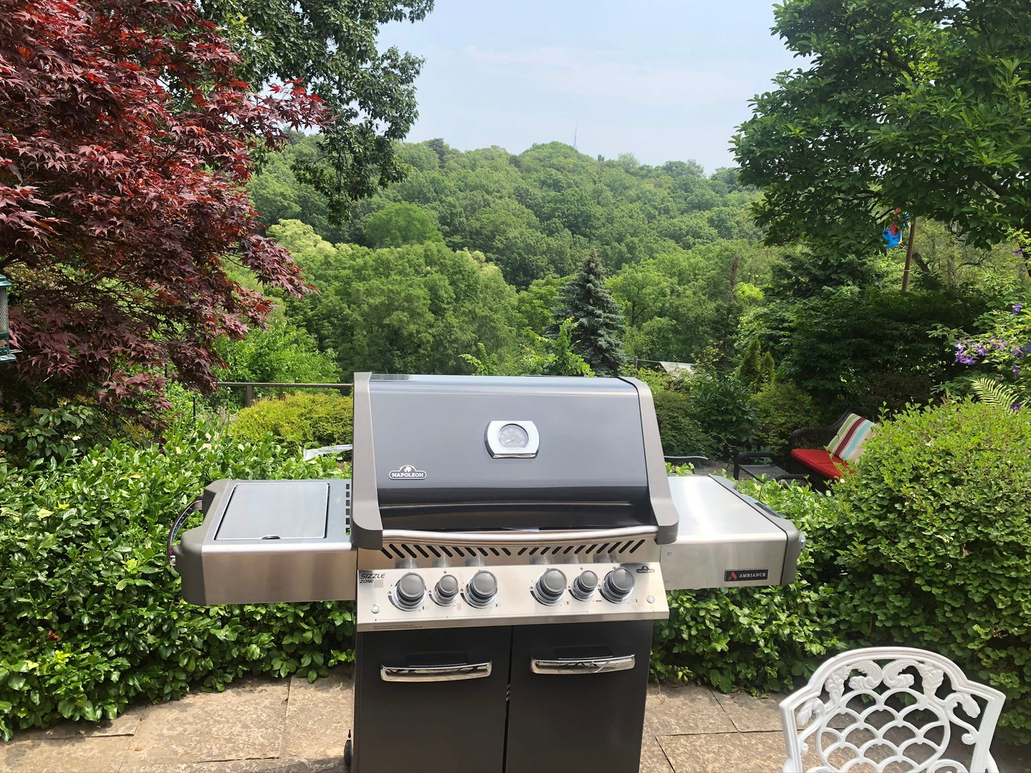 Napoleon Outdoor Cooking > Gas Grills > BBQs Napoleon Prestige P500RSIB Ambiance Edition