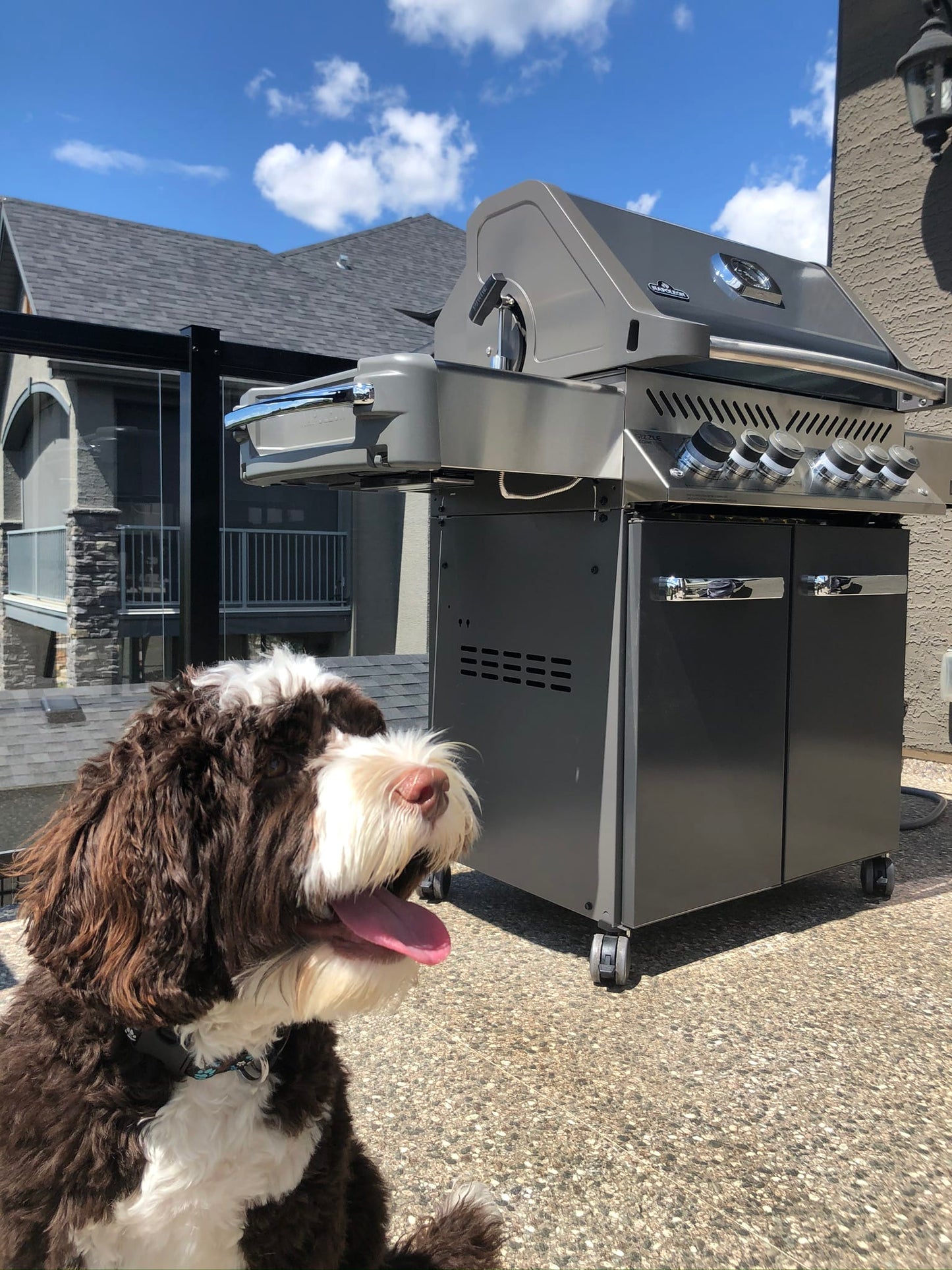 Napoleon Outdoor Cooking > Gas Grills > BBQs Napoleon Prestige P500RSIB Ambiance Edition