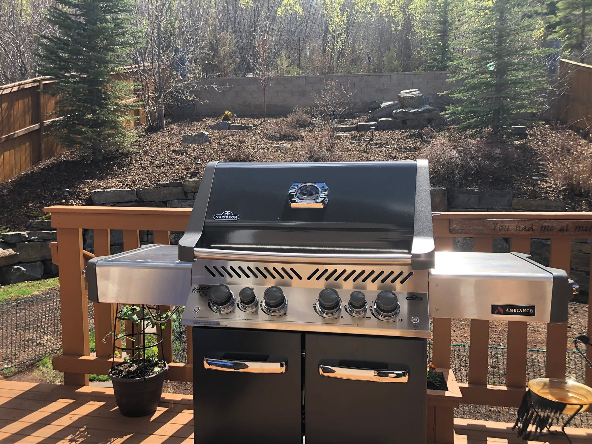 Napoleon Outdoor Cooking > Gas Grills > BBQs Napoleon Prestige P500RSIB Ambiance Edition