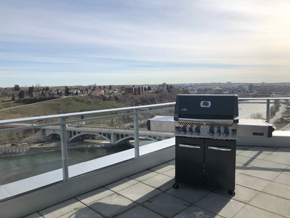 Napoleon Outdoor Cooking > Gas Grills > BBQs Napoleon Prestige P500RSIB Ambiance Edition