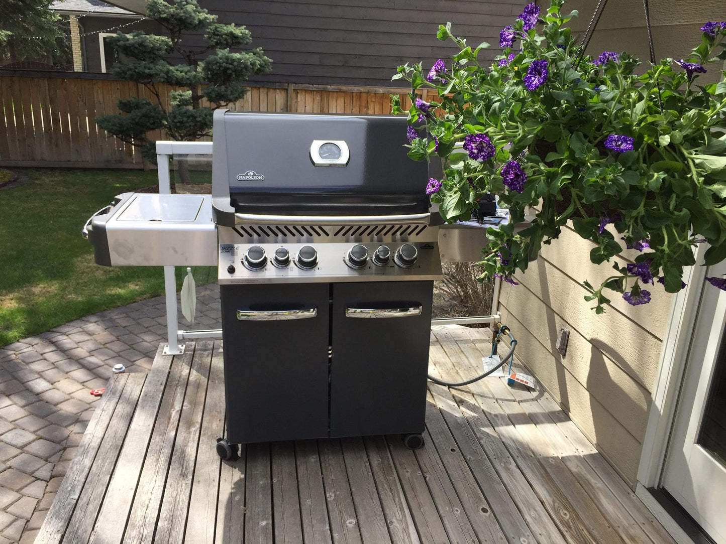 Napoleon Outdoor Cooking > Gas Grills > BBQs Napoleon Prestige P500RSIB Ambiance Edition