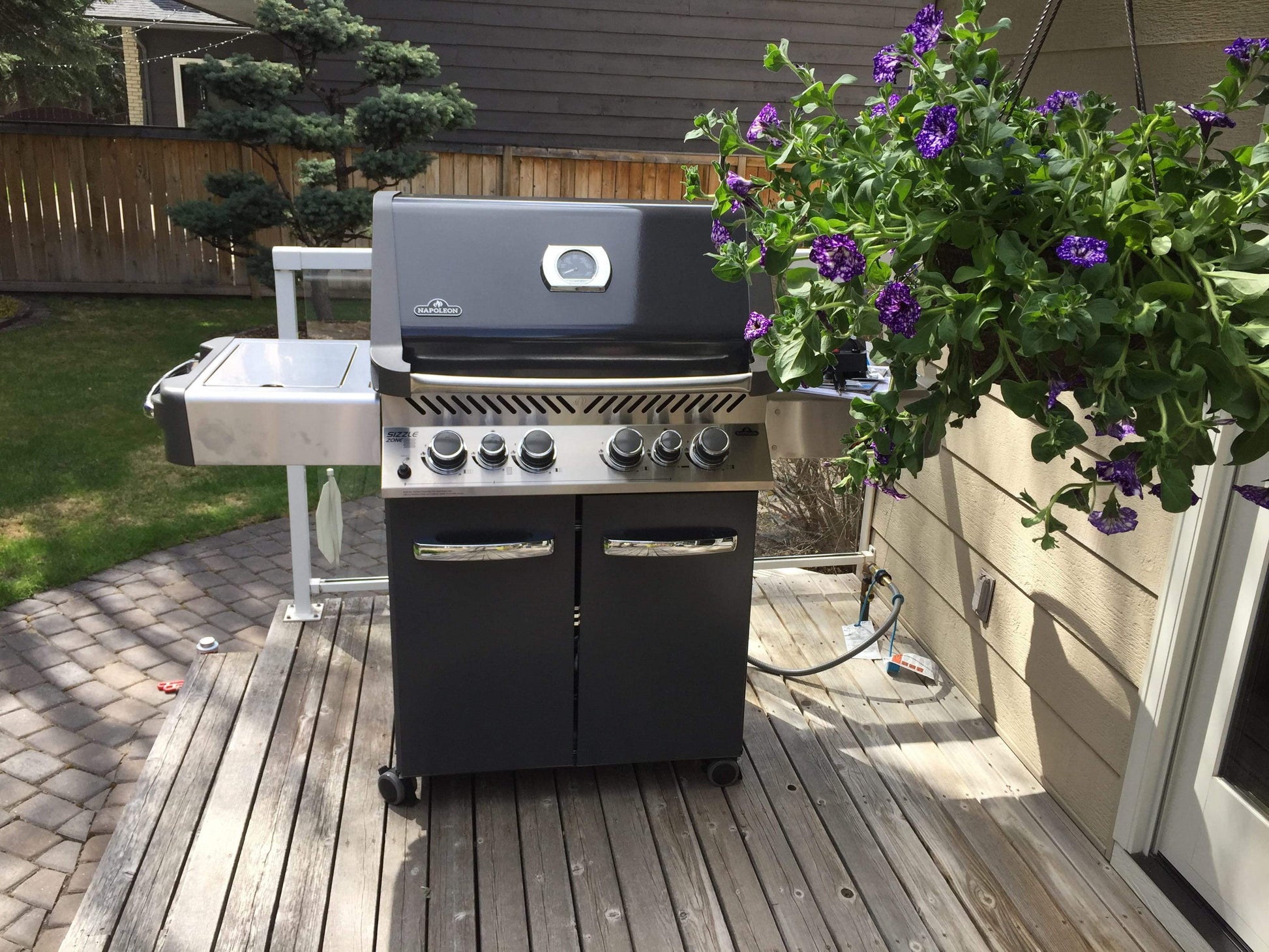Napoleon Outdoor Cooking > Gas Grills > BBQs Napoleon Prestige P500RSIB Ambiance Edition