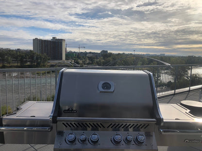 Napoleon Outdoor Cooking > Gas Grills > BBQs Napoleon Prestige PRO 500RSIB Stainless Steel