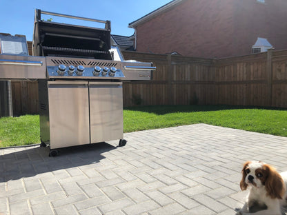 Napoleon Outdoor Cooking > Gas Grills > BBQs Napoleon Prestige PRO 500RSIB Stainless Steel