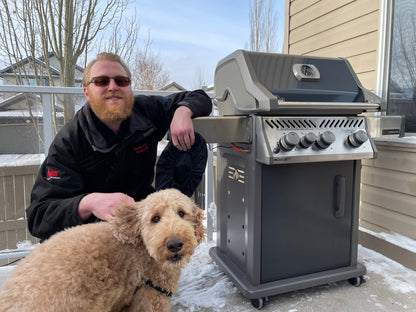 Napoleon Outdoor Cooking > Gas Grills > BBQs Napoleon Rogue 425 Ambiance Special Edition
