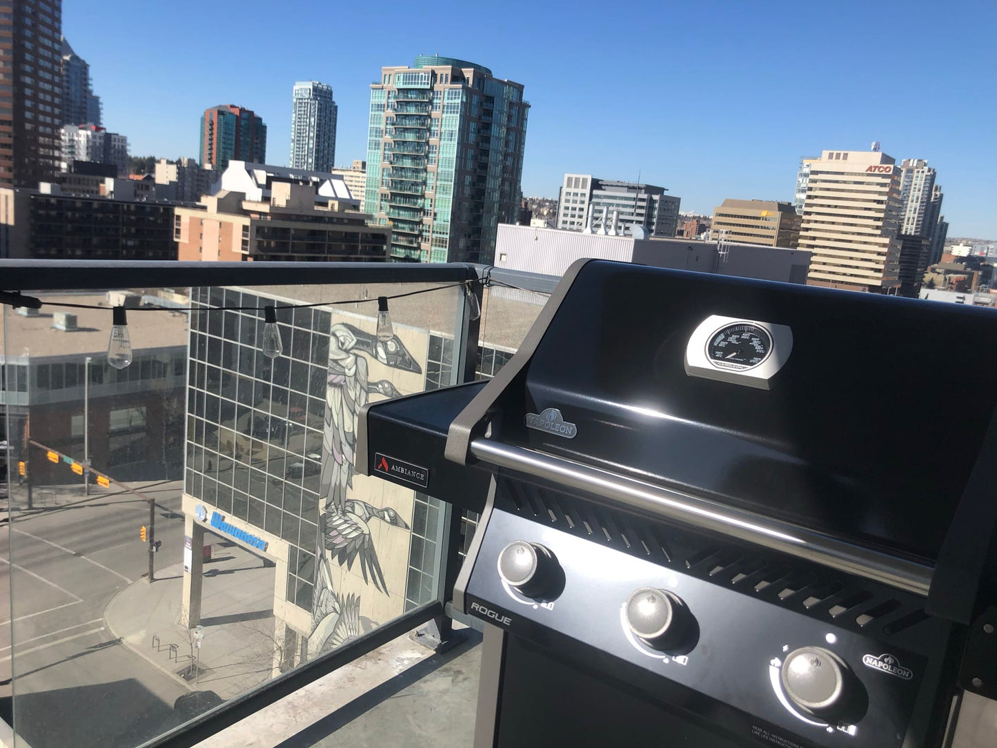 Napoleon Outdoor Cooking > Gas Grills > BBQs Napoleon Rogue 425 Ambiance Special Edition