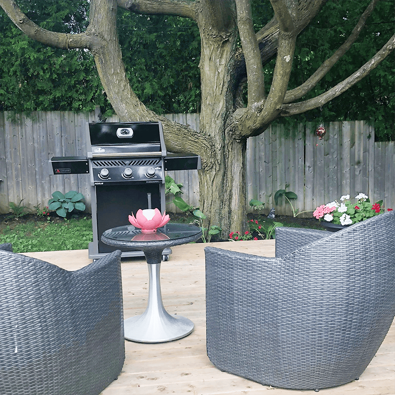 Napoleon Outdoor Cooking > Gas Grills > BBQs Napoleon Rogue 425 Ambiance Special Edition