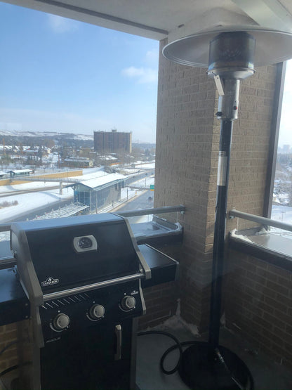 Napoleon Outdoor Cooking > Gas Grills > BBQs Napoleon Rogue 425 Ambiance Special Edition