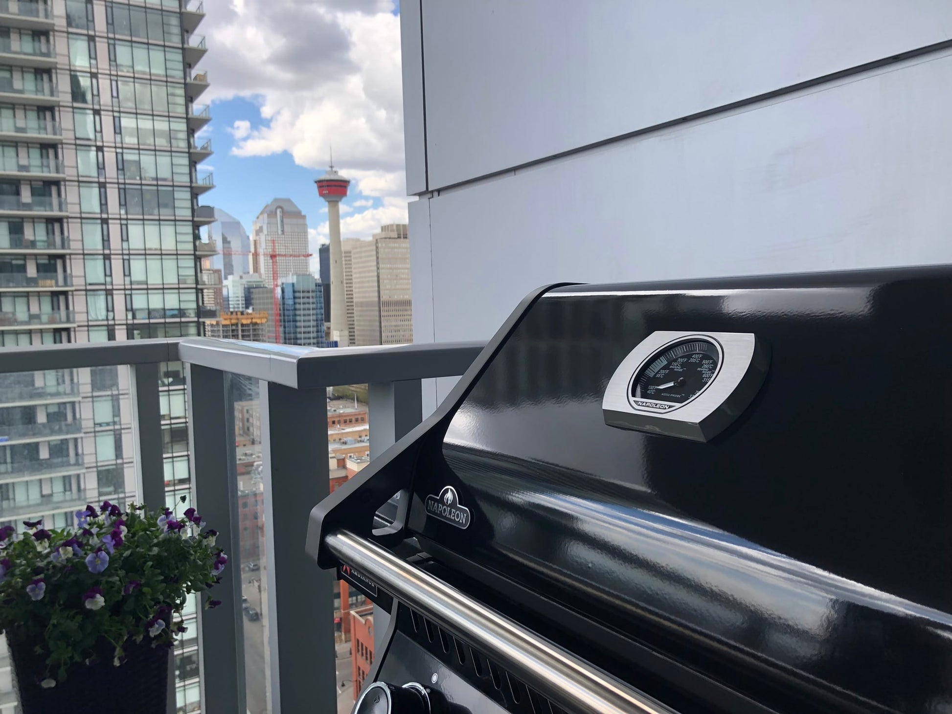 Napoleon Outdoor Cooking > Gas Grills > BBQs Napoleon Rogue 425 Ambiance Special Edition
