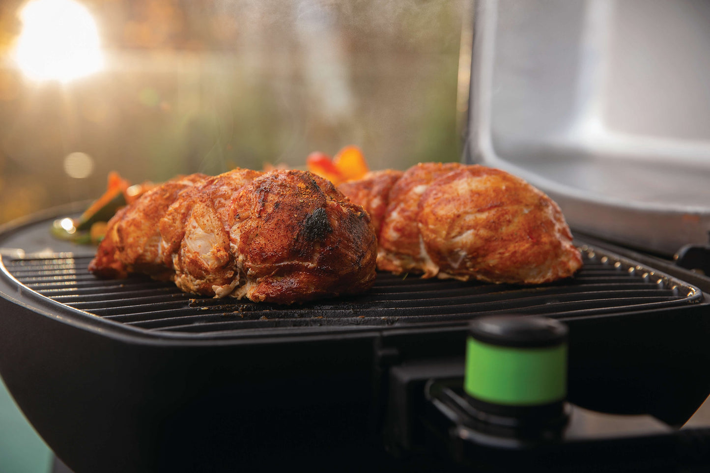 Napoleon Outdoor Cooking > Portable Grills > Electric Napoleon PRO285 Portable Grill (Electric)