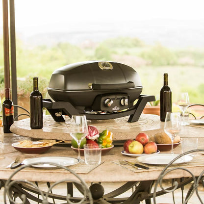 Napoleon Outdoor Cooking > Portable Grills Napoleon TravelQ PRO285 Portable Grill (Natural Gas)