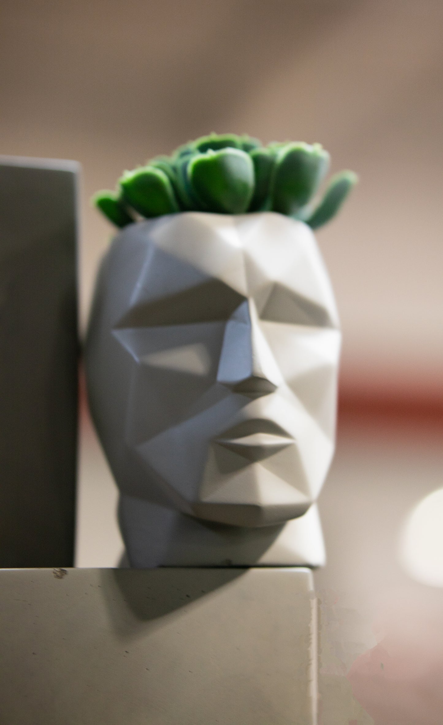 The Grey Man Head - Concrete Pot