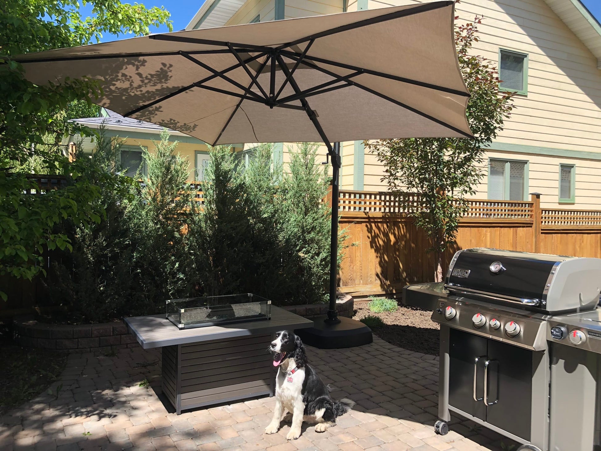 Treasure Garden Outdoor Living > Patio Furniture > Umbrellas > Cantilever Treasure Garden AG25TSQR - 10 ft. tall Square Cantilever Umbrella - Black Frame