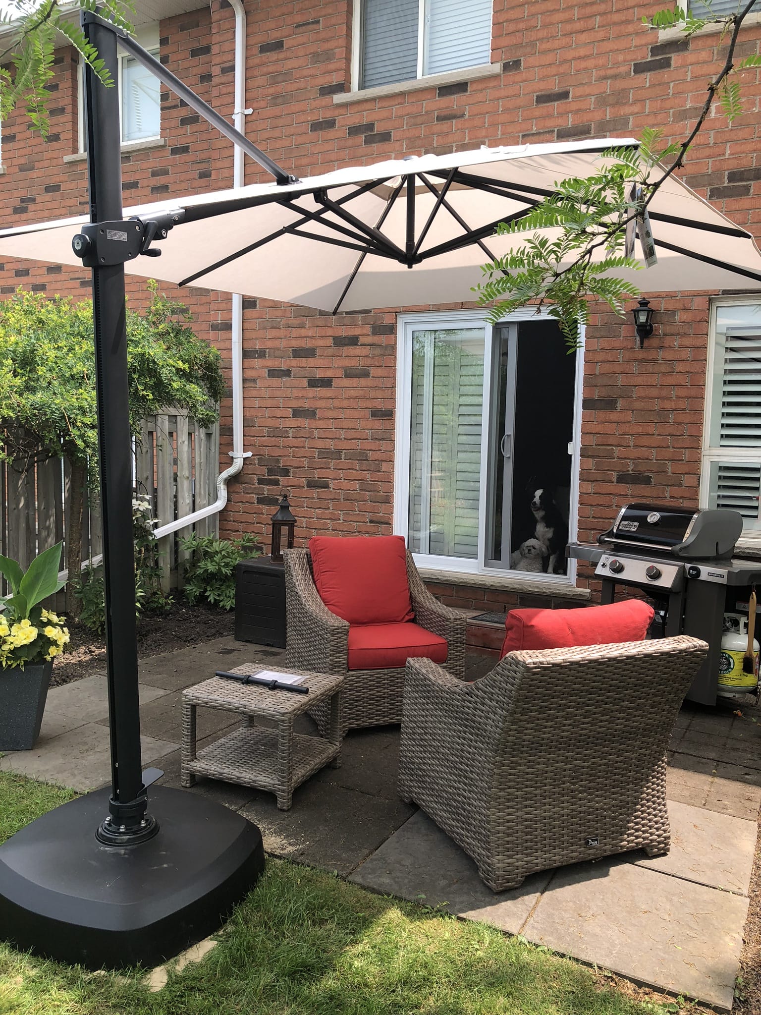 Treasure Garden Outdoor Living > Patio Furniture > Umbrellas > Cantilever Treasure Garden AG25TSQR - 10 ft. tall Square Cantilever Umbrella - Black Frame