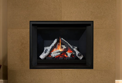 Valor Fireplaces > Gas Fireplaces > Direct Vent > Fireplace Valor H3 Series Gas Fireplace