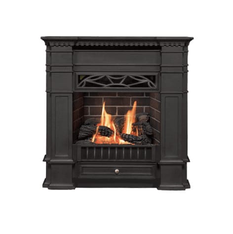 Valor Fireplaces > Gas Fireplaces > Direct Vent > Fireplace Valor Portrait Series - Zero-Clearance Gas Fireplace