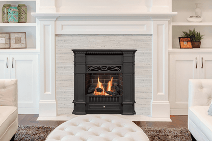 Valor Fireplaces > Gas Fireplaces > Direct Vent > Fireplace Valor Portrait Series - Zero-Clearance Gas Fireplace