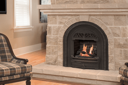 Valor Fireplaces > Gas Fireplaces > Direct Vent > Insert Valor Portrait Series Gas Insert Fireplace