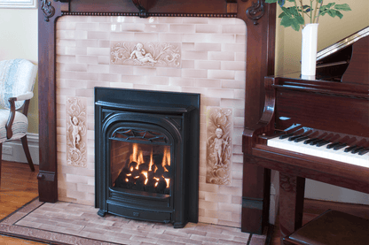 Valor Fireplaces > Gas Fireplaces > Direct Vent > Insert Valor Portrait Series Gas Insert Fireplace