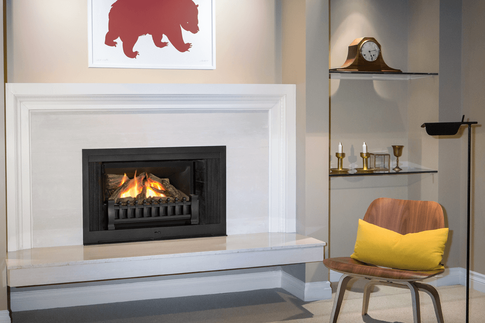 Valor Fireplaces > Gas Fireplaces > Direct Vent > Insert Valor RetroFire Gas Insert Fireplace